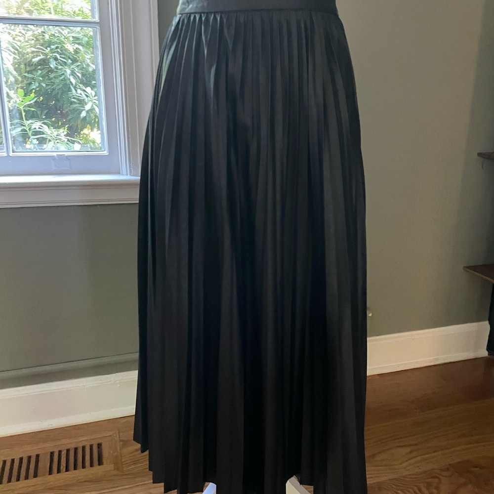 Banana Republic pleated vegan leather skirt.